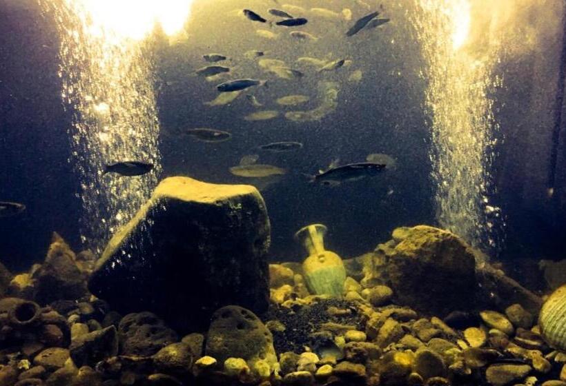 בית מלון כפרי Albergo 2 Mari