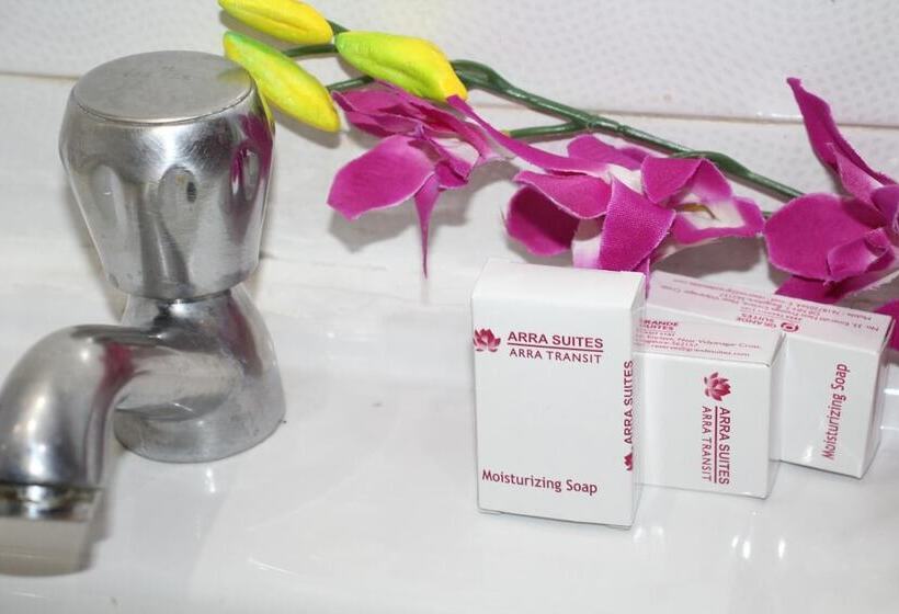 בית מלון כפרי Arra Transit