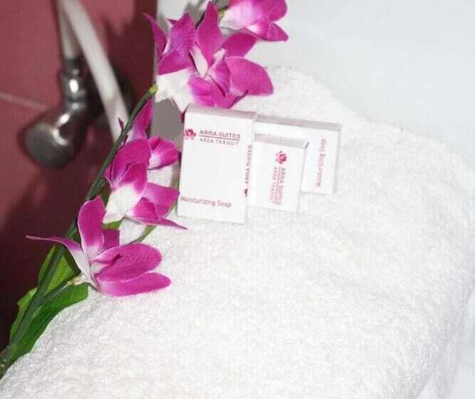 בית מלון כפרי Arra Transit