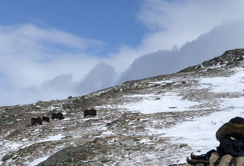 Отель Dovregubbens Hall