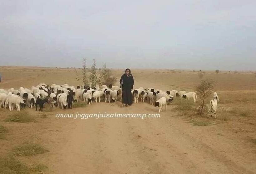 فندق Joggan Jaisalmer Camp
