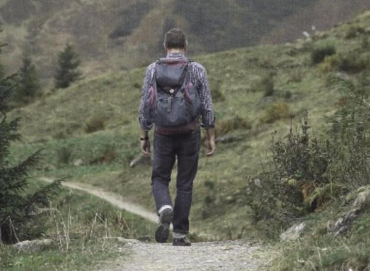 Отель Landhaus-pension Am Pfaffensee