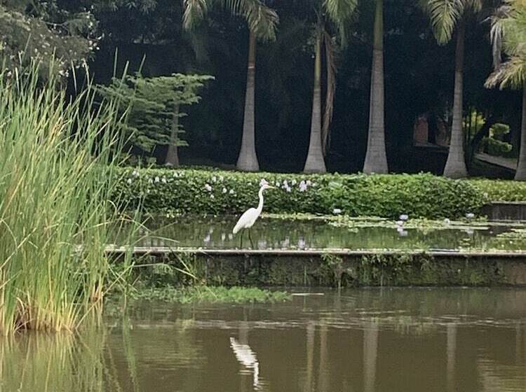 Отель Rancho Agua Salada