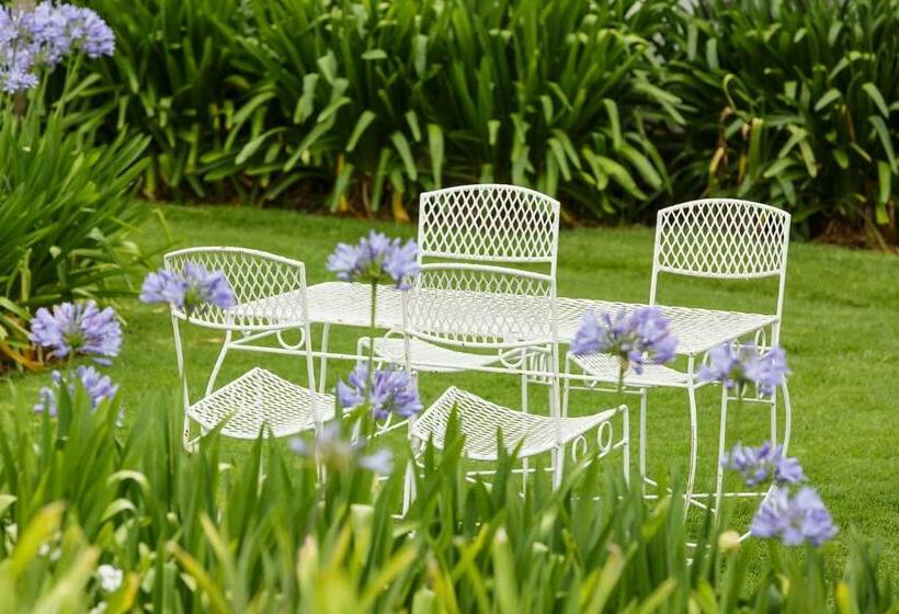 هتل روستایی Blue Lily Retreat