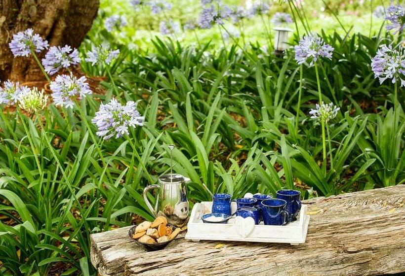 هتل روستایی Blue Lily Retreat