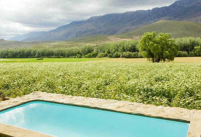 هتل روستایی Blue Lily Retreat