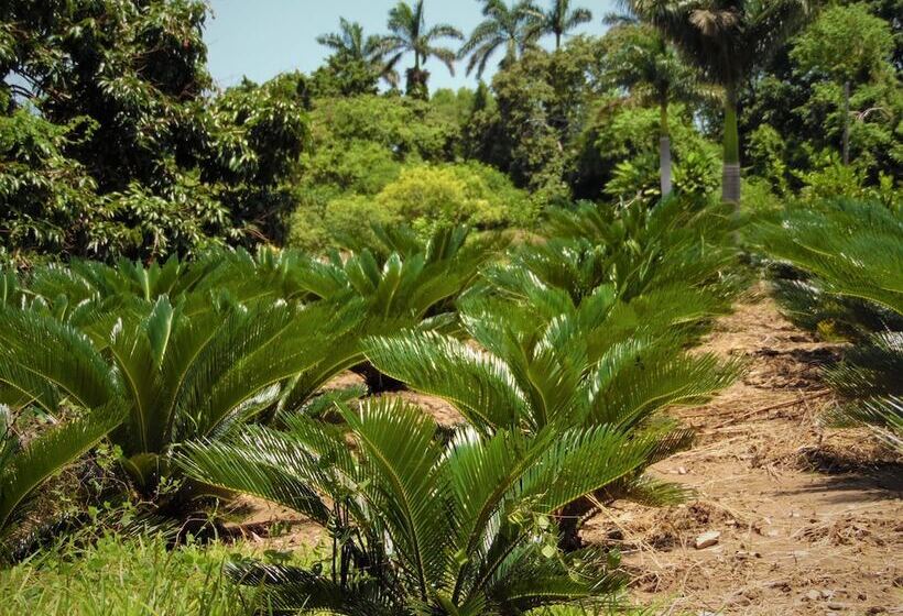 호텔 Santa Luisa Finca Boutique