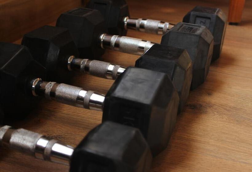 בית מלון כפרי Shivas Galaxy