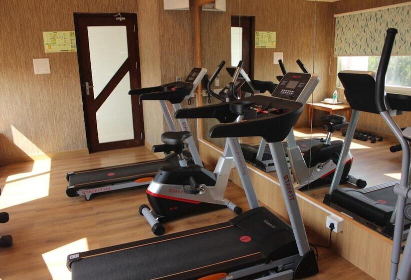 בית מלון כפרי Shivas Galaxy