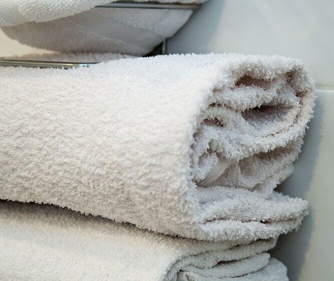 בית מלון כפרי The Coach House