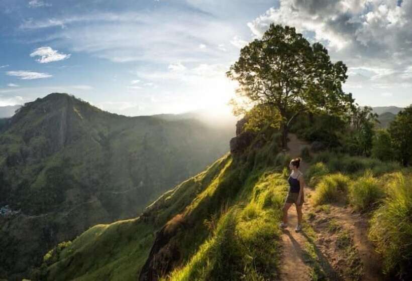 ペンション Ella Farmer Village