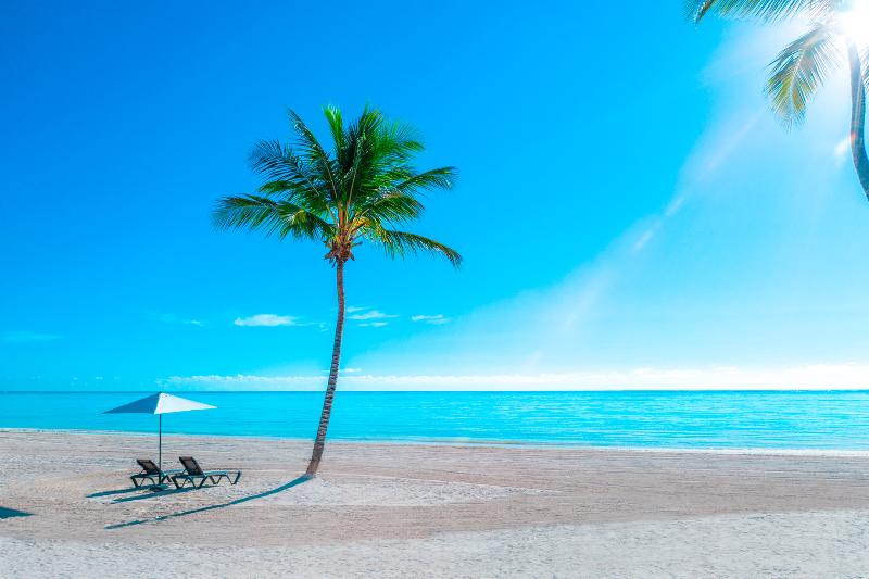 אתר נופש Hyatt Zilara Cap Cana - Adults Only