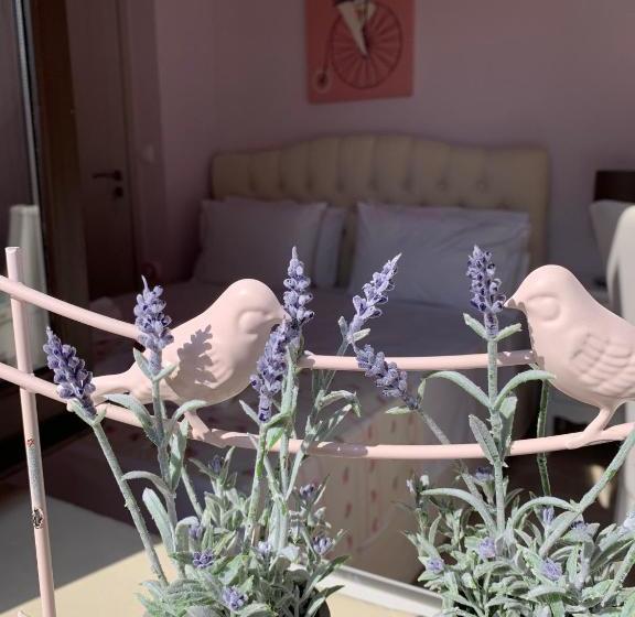 Sperveri Della Regina