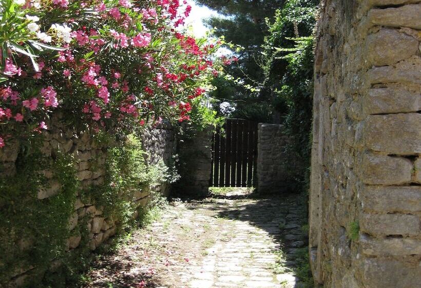 Unique Antistress Oasis Villa Antiqua