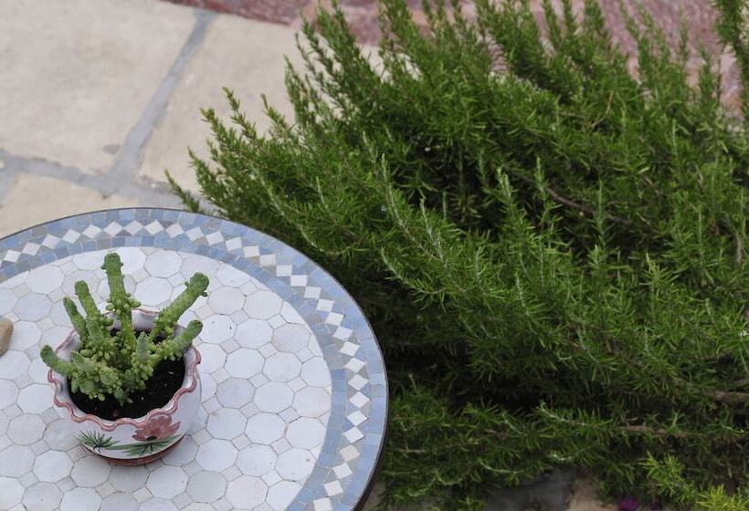 1880 Luxury Apartments