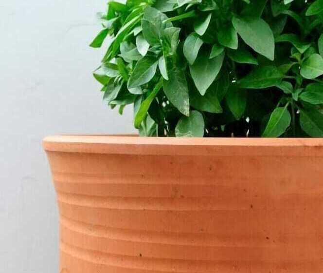 1880 Luxury Apartments