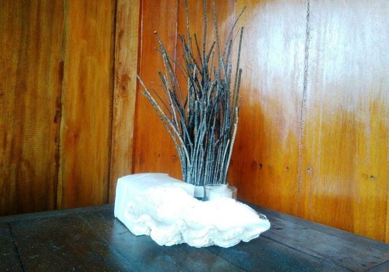 민박 Black Horse Meno