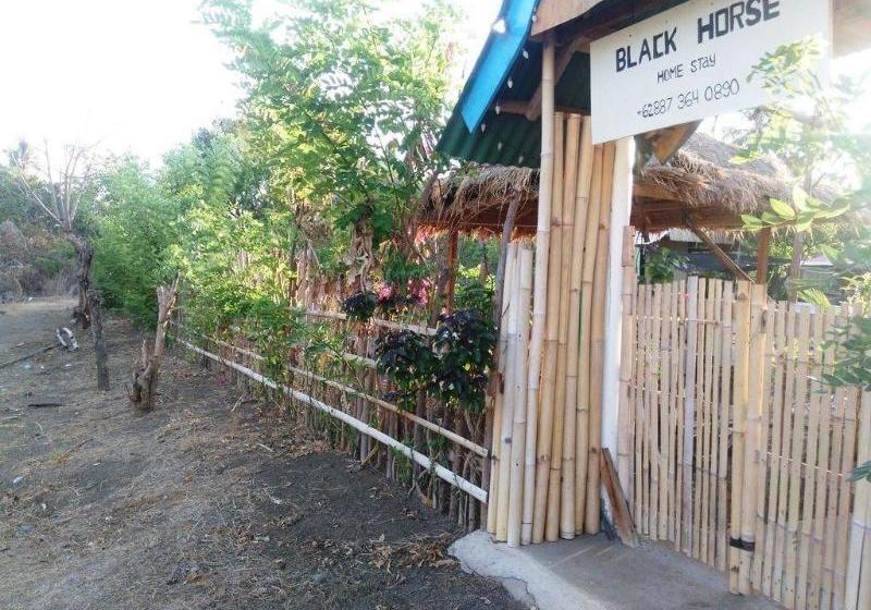 민박 Black Horse Meno