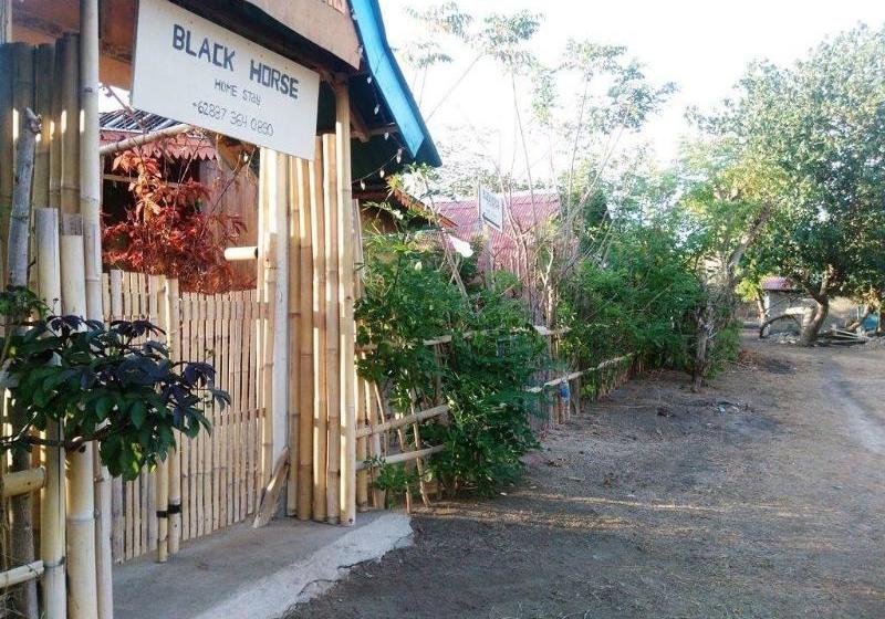 민박 Black Horse Meno