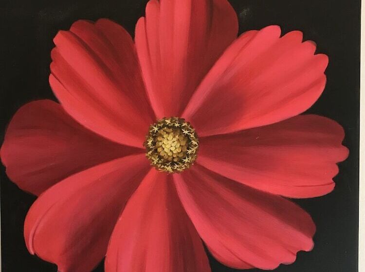 ベッドアンドブレックファースト La Masion Paul