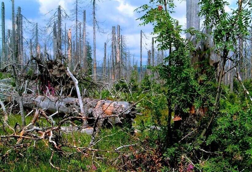Ferienhaus Mitterdorf