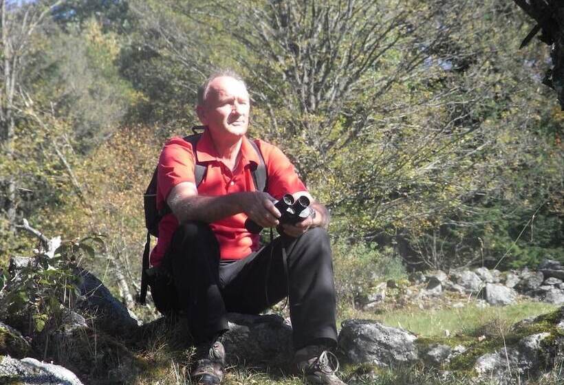 Ferienhaus Mitterdorf