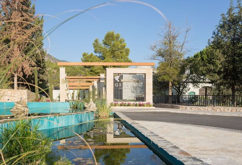 Gillham Vineyard Hotel   Adults Only