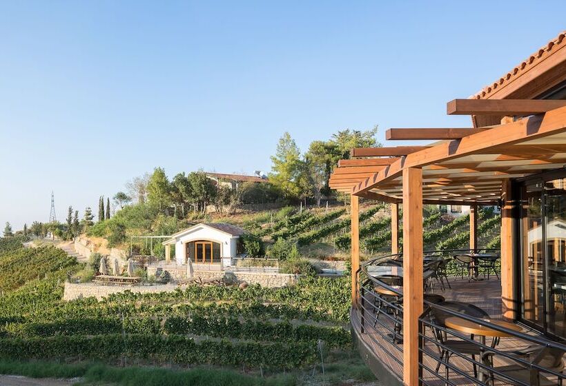 Gillham Vineyard Hotel   Adults Only