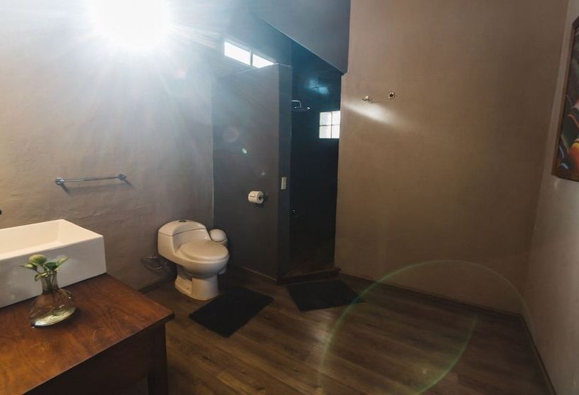 Отель Amaia Boutique