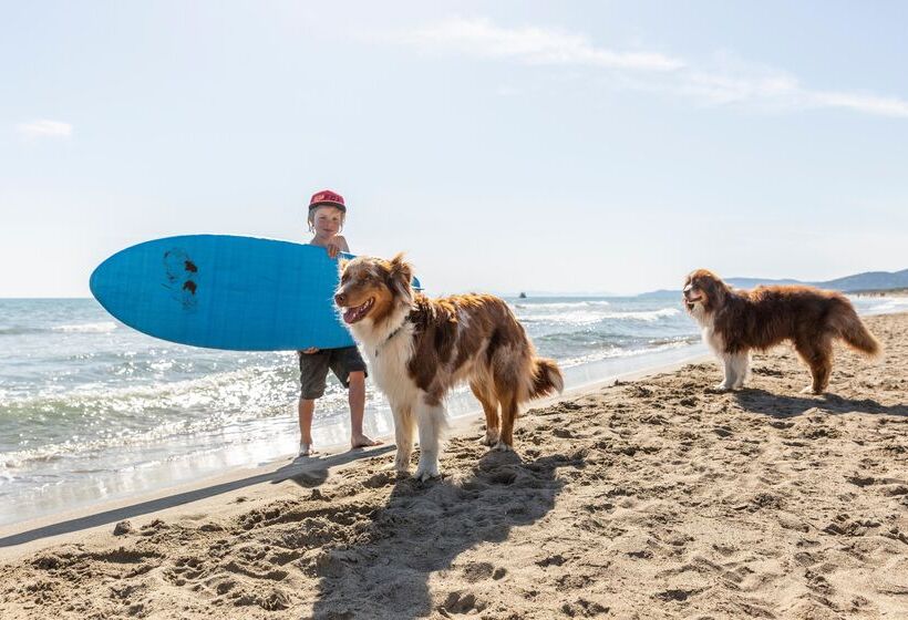 فندق Gitavillage Le Marze