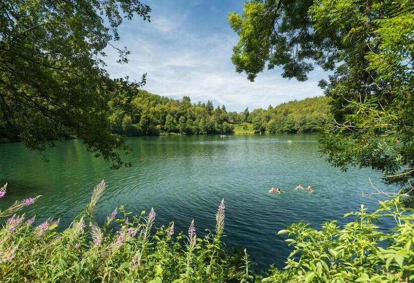 Отель Lowenstein