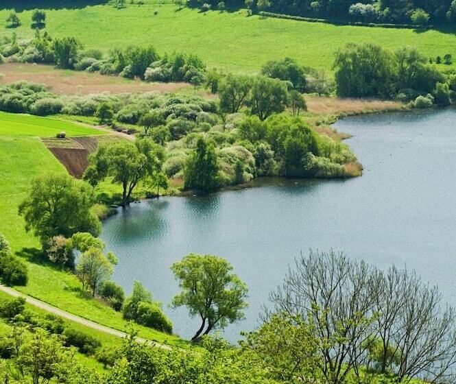 Отель Lowenstein