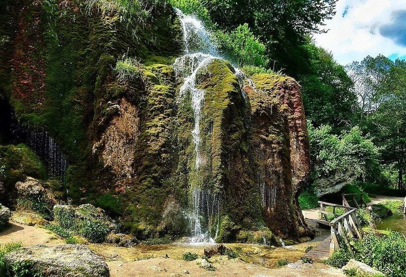 Отель Lowenstein