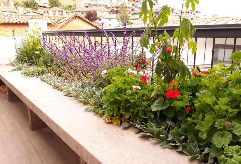 Отель Posada San Blas