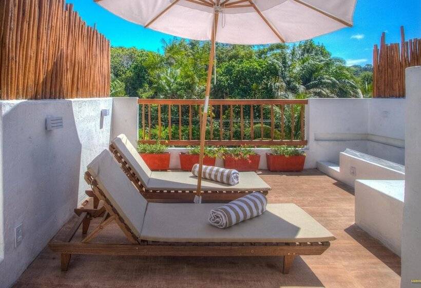 ホテル Pousada A Casa De Gabriella