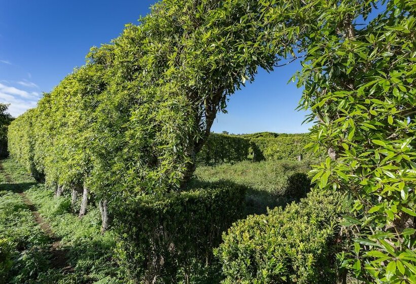 Сельский отель Quinta Do Paraizo