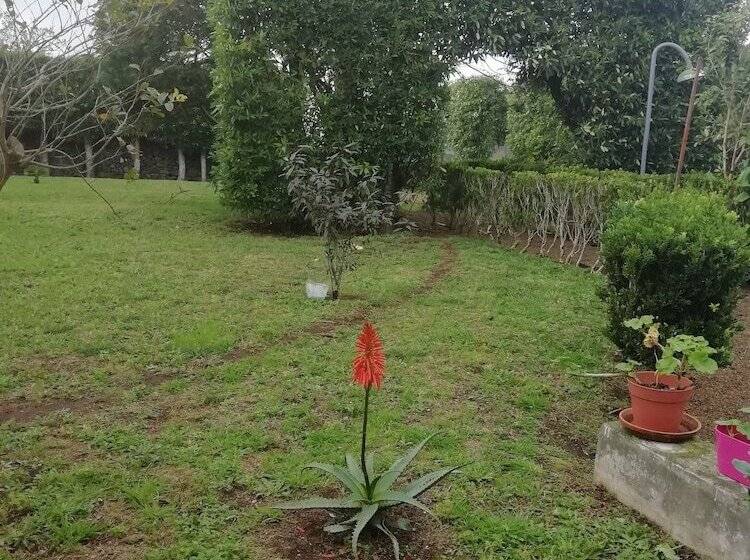 Сельский отель Quinta Do Paraizo