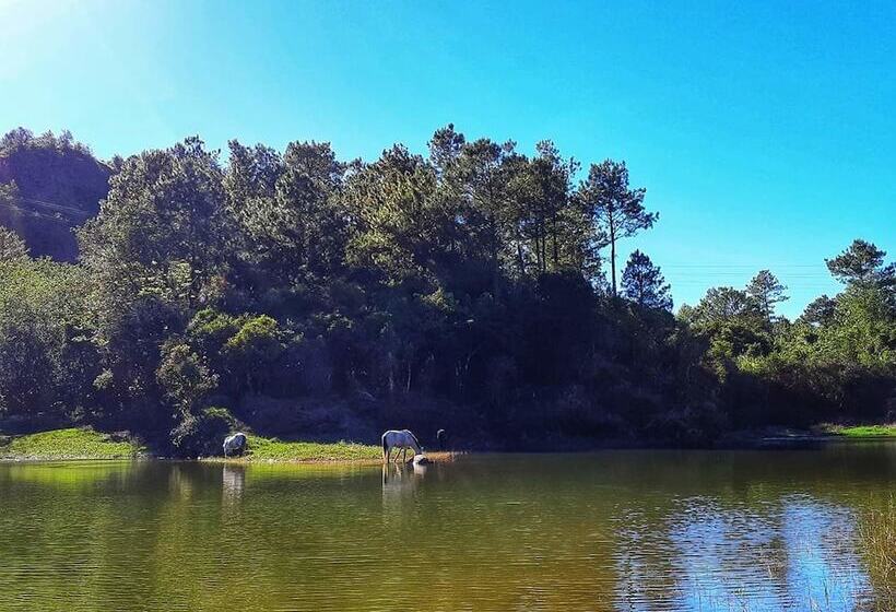 호텔 See Too Ville   Nature Lodge Sagada