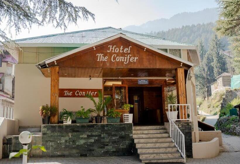 هتل The Conifer