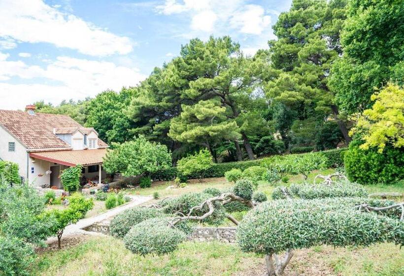 膳宿费 Apartment & Rooms Papa