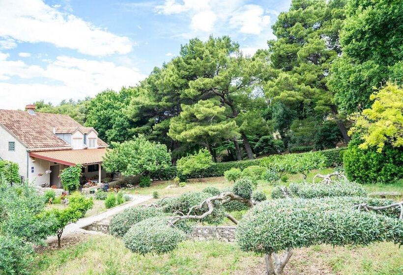 膳宿费 Apartment & Rooms Papa