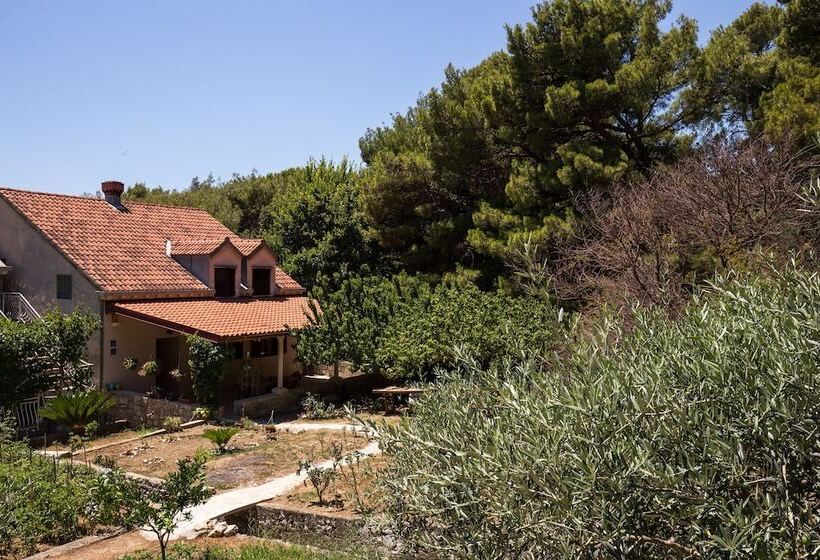 膳宿费 Apartment & Rooms Papa