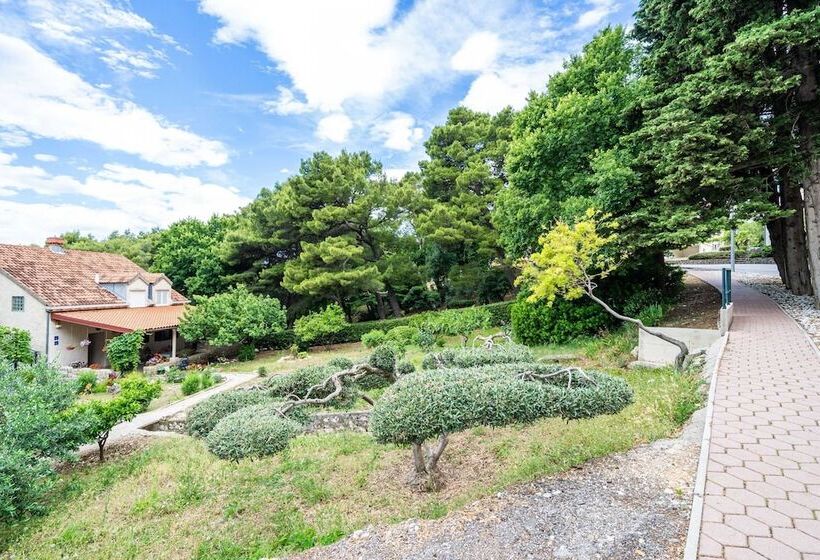 膳宿费 Apartment & Rooms Papa