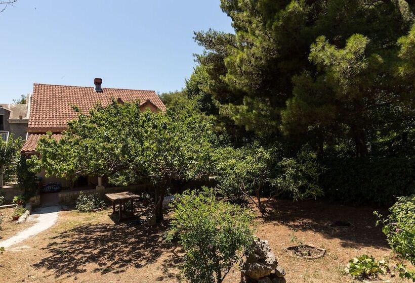 膳宿费 Apartment & Rooms Papa