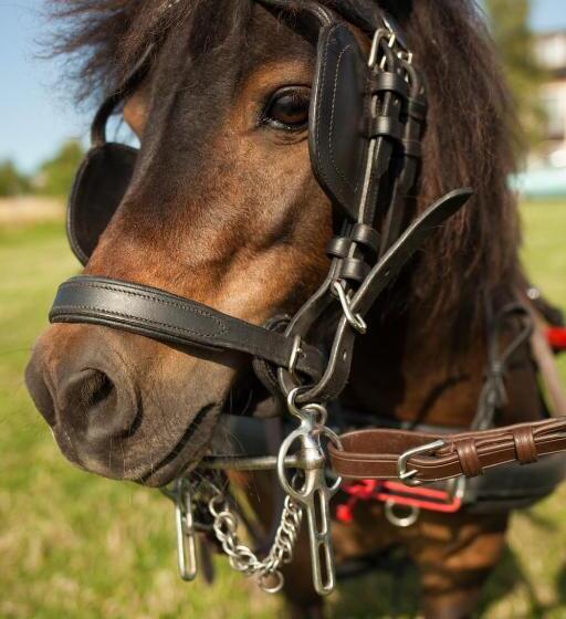 ペンション Cedrowy Dworek