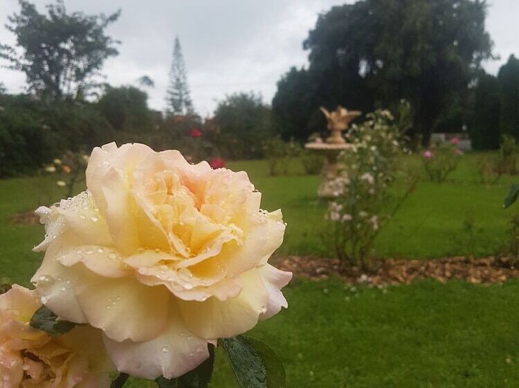 펜션 Lancewood Lodge