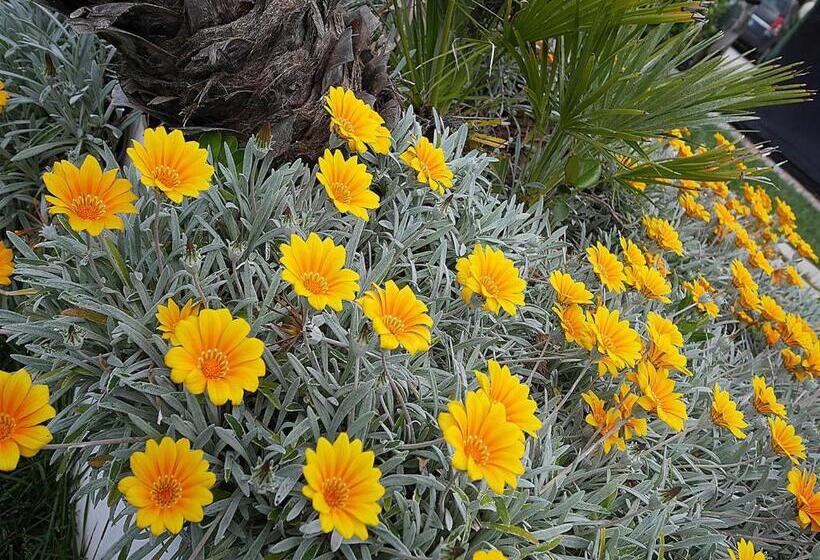 Residence Villa Piani