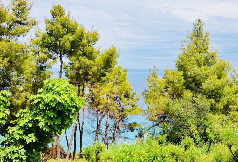 Aelia Sea View Studios