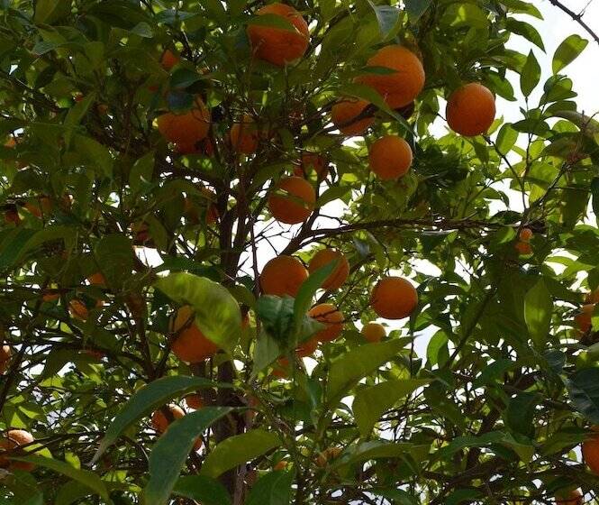 Aelia Sea View Studios