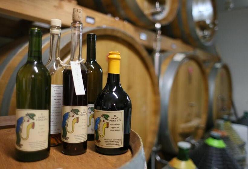 Agriturismo La Burlanda